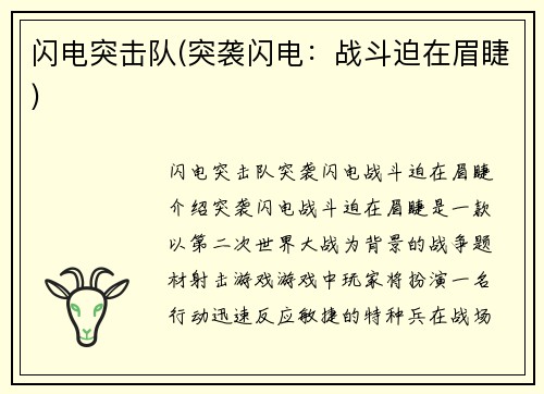 闪电突击队(突袭闪电：战斗迫在眉睫)